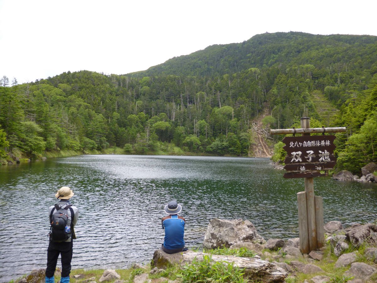 苔生す北八ヶ岳で池めぐり！大河原峠より双子池・亀甲池をゆるく巡る