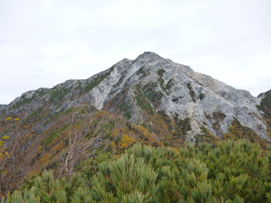 １０月初旬の南アルプスで紅葉狩り！北沢峠から日帰り甲斐駒ヶ岳登山